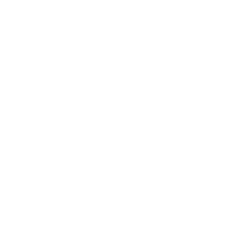 bigg.is